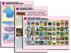 Комплект таблиц по географии "Природа материков и океанов" раздаточные (цветные, ламинированные, А4, 12 штук) - fgospostavki.ru - Королёв