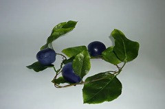 Ветка муляжей "Слива" - fgospostavki.ru - Королёв