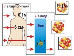 Модель-аппликация "Явление радиоактивности" (ламинированная) - fgospostavki.ru - Королёв