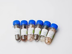 Набор № 6 ОС Щелочные и щелочноземельные металлы - fgospostavki.ru - Королёв