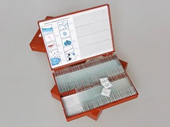 Комплект микропрепаратов "Ботаника 1" - fgospostavki.ru - Королёв