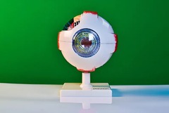 Модель глаза - fgospostavki.ru - Королёв
