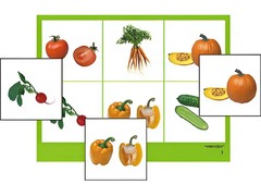 Логопедическое лото "Овощи" (4 планшета, 24 карточки, цветное, ламинированное) - fgospostavki.ru - Королёв