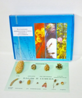 Коллекция "Шишки, плоды, семена деревьев и кустарников" - fgospostavki.ru - Королёв