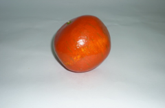 Муляж "Гранат" - fgospostavki.ru - Королёв