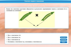 Интерактивные курсы. Биология 11 класс. Базовый. - fgospostavki.ru - Королёв