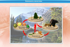 Интерактивные курсы. Биология 7 класс. Базовый. - fgospostavki.ru - Королёв