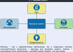 Интерактивные курсы. Биология 5 класс. Базовый - fgospostavki.ru - Королёв