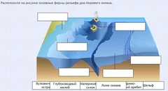Интерактивные курсы. География 7 класс . Базовый. - fgospostavki.ru - Королёв