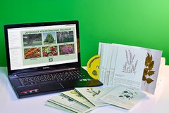 Гербарий натурально-интерактивный "Лекарственные растения" - fgospostavki.ru - Королёв