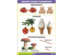 Таблица демонстрационная "Одинаковый, похожий и противоположный" (винил 70x100) - fgospostavki.ru - Королёв