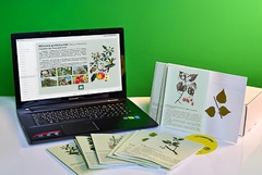 Гербарий натурально-интерактивный "Деревья и кустарники" - fgospostavki.ru - Королёв