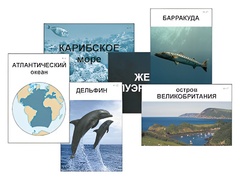 Модель-аппликация "Океаны. Знакомство" (ламинированная) - fgospostavki.ru - Королёв