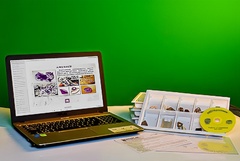 Коллекция натурально-интерактивная "Кварц в природе" - fgospostavki.ru - Королёв