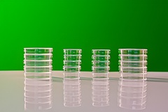 Набор чашек Петри - fgospostavki.ru - Королёв