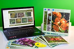 Гербарий натурально-интерактивный "Основные группы растений. Грибы. Лишайники" - fgospostavki.ru - Королёв