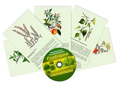 Интерактивный наглядный комплекс "Гербарий "Для начальной школы" - fgospostavki.ru - Королёв