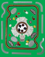 Модель-аппликация "Строение клетки" (набор из 54 пластмассовых фигур) - fgospostavki.ru - Королёв