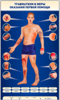 Электрифицированный стенд-тренажер "Травматизм и меры оказания первой помощи" - fgospostavki.ru - Королёв