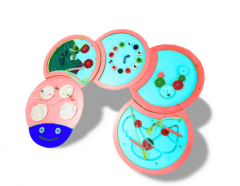 Тактильно-развивающая панель «Гусеница» - fgospostavki.ru - Королёв