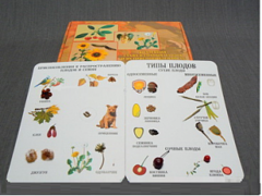 Коллекция "Семена и плоды" - fgospostavki.ru - Королёв