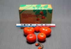 Набор муляжей "Дикая форма и культурные сорта томатов" - fgospostavki.ru - Королёв