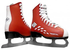 Зимний инвентарь - fgospostavki.ru - Королёв