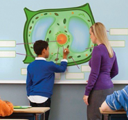 Интерактивное оборудование - fgospostavki.ru - Королёв