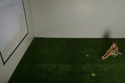 Интерактивная светозвуковая система “Лайт Бим” - fgospostavki.ru - Королёв