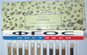 Коллекция "Семена к гербарию для начальной школы" (11 видов) - fgospostavki.ru - Королёв