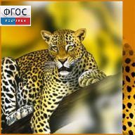 Зоология. (Цифровая база изображений) - fgospostavki.ru - Королёв