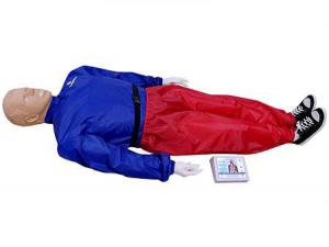 "Александр-04" тренажер-манекен взрослого пострадавшего для отработки приемов сердечно-легочной реанимации (голова, туловище, конечности) с контроллером - fgospostavki.ru - Королёв