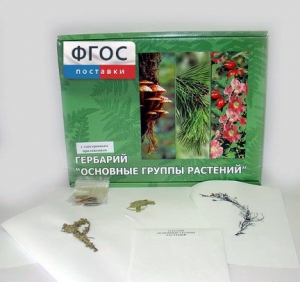 Гербарий "Основные группы растений" (52 листа) - fgospostavki.ru - Королёв