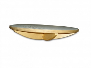 Балансир детский (круг) - fgospostavki.ru - Королёв