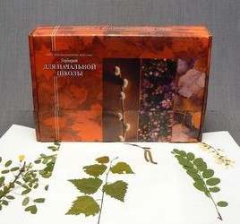 Гербарий для Начальной школы (28 видов) - fgospostavki.ru - Королёв