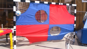 Экран для отработки ударов мячом - fgospostavki.ru - Королёв