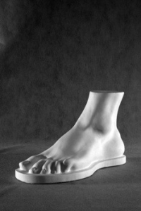 Стопа Геракла (гипс) - fgospostavki.ru - Королёв