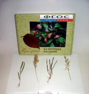 Гербарий "Культурные растения" (28 видов) - fgospostavki.ru - Королёв