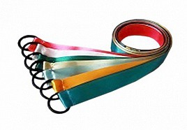 Лента гимнастическая на кольце (1 метр) - fgospostavki.ru - Королёв