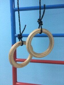 Кольца навесные для детского спортивного комплекса (диаметр 16 сантиметров, фанера) - fgospostavki.ru - Королёв