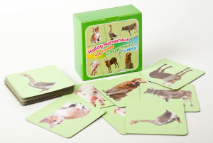 Набор магнитных карточек "Устный счет" (фон зеленый) - fgospostavki.ru - Королёв