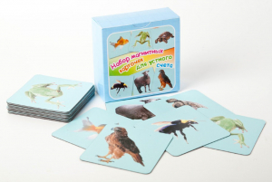 Набор магнитных карточек "Устный счет" (фон голубой) - fgospostavki.ru - Королёв