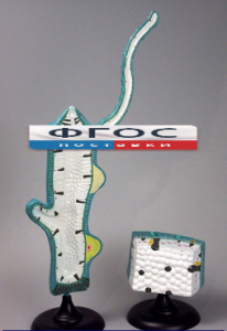 Модель "Гидра" - fgospostavki.ru - Королёв