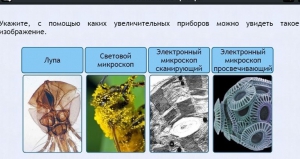 Интерактивные курсы. Биология 5 класс. Расширенный - fgospostavki.ru - Королёв