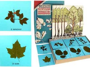 Гербарий "Растительные сообщества" - fgospostavki.ru - Королёв