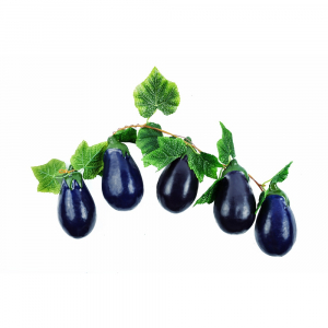 Ветка муляжей "Баклажаны" - fgospostavki.ru - Королёв