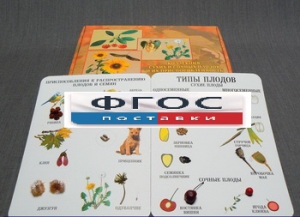 Коллекция "Семена и плоды" - fgospostavki.ru - Королёв