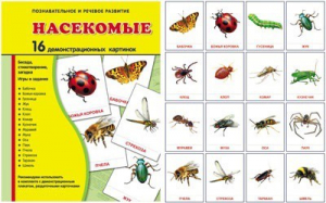 Демонстрационные карточки "Насекомые" - fgospostavki.ru - Королёв