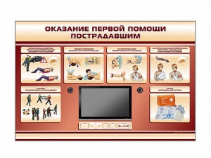 Многофункциональный интерактивный стенд-тренажер "Оказание первой помощи пострадавшим" для учащихся общеобразовательных учреждений - fgospostavki.ru - Королёв