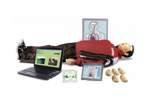 "Максим III-01" тренажер сердечно-легочной и мозговой реанимации - fgospostavki.ru - Королёв